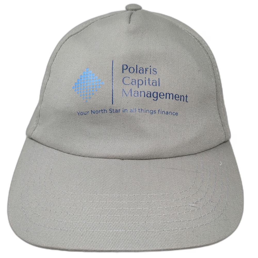 Vista 5 Panel Gray Blue OSFM Polaris Capital Management Slideback Hat Finance